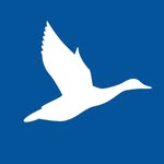 96941223_186174009198293_2746755538548162560_n